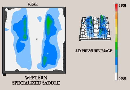 Western Specialized Saddle