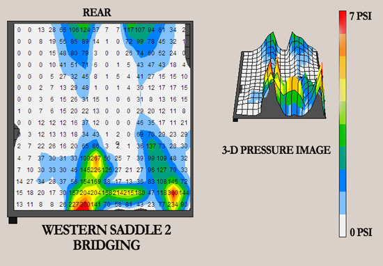 TW Saddles Western Saddle Bridging