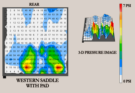 TW Saddles Western Saddle With Pad