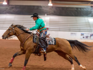 Mounted Shooting Saddles - TW Saddlery