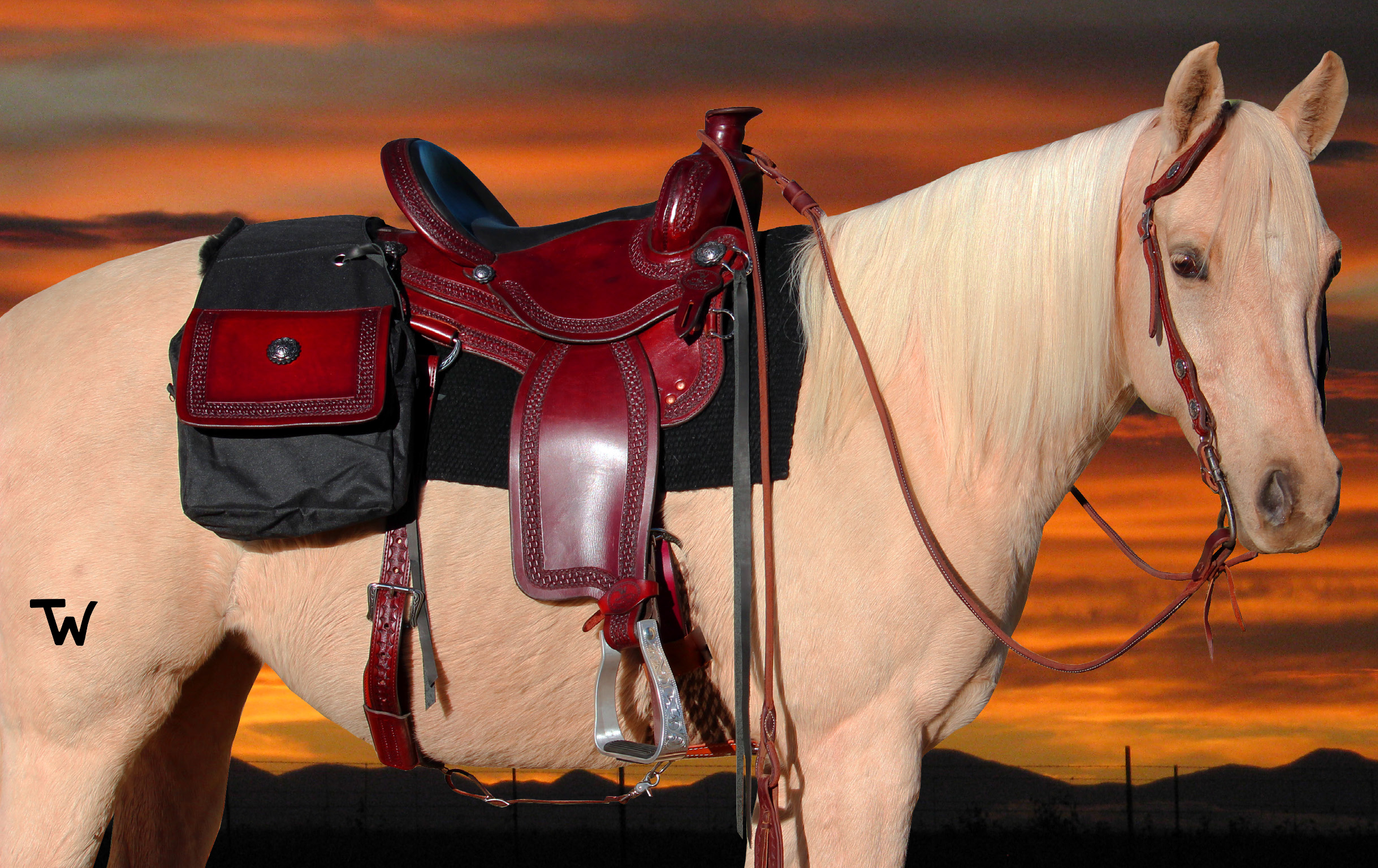 The Harness Saddle Bag, AmaflightschoolShops