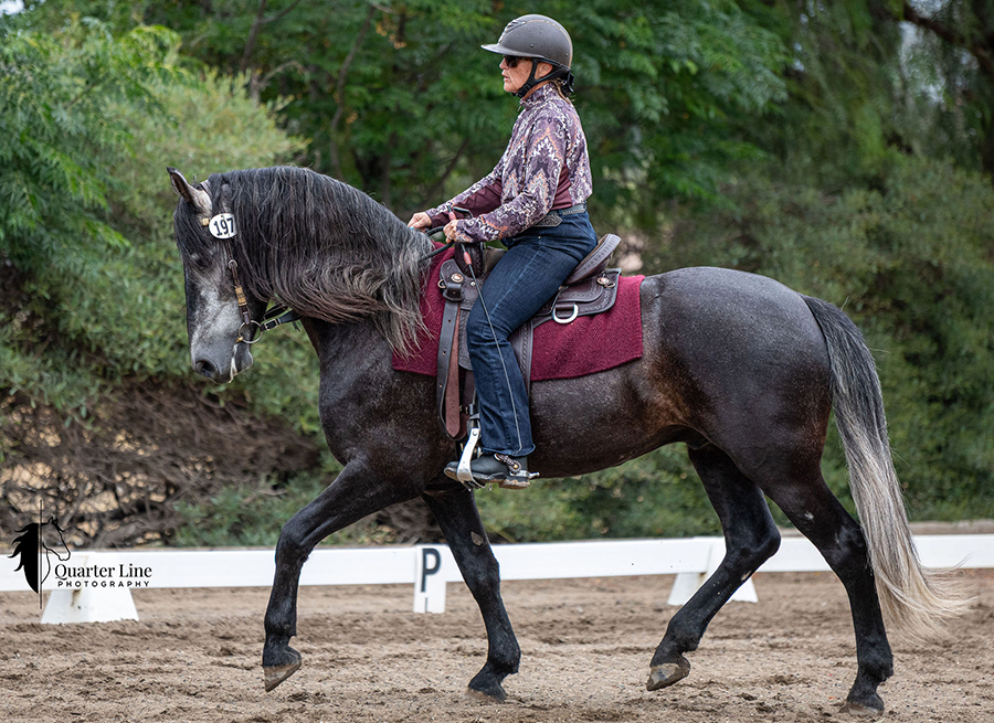 Rider performing western dressage in a lightweight TW Saddlery western dressage saddle
