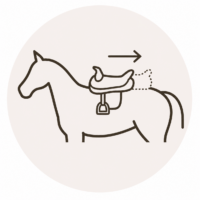 Saddle sliding backward
