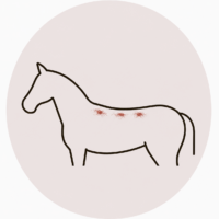 Dry spots or rub marks