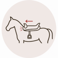 Saddle sliding forward