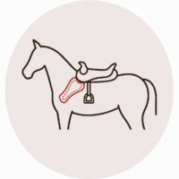 Shoulder restriction
