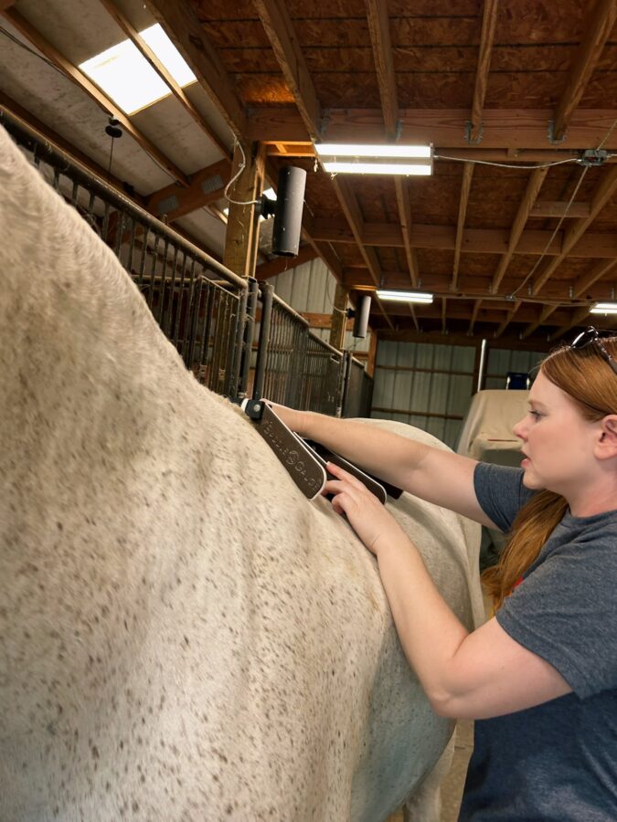 Evaluating horse saddle fit using the TW Saddlery Photo Fit process