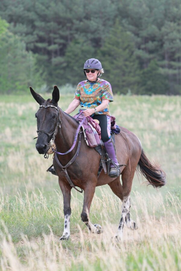 Nancy Sluys riding her gaited mule Dolly in a Specialized Saddle during an endurance ride