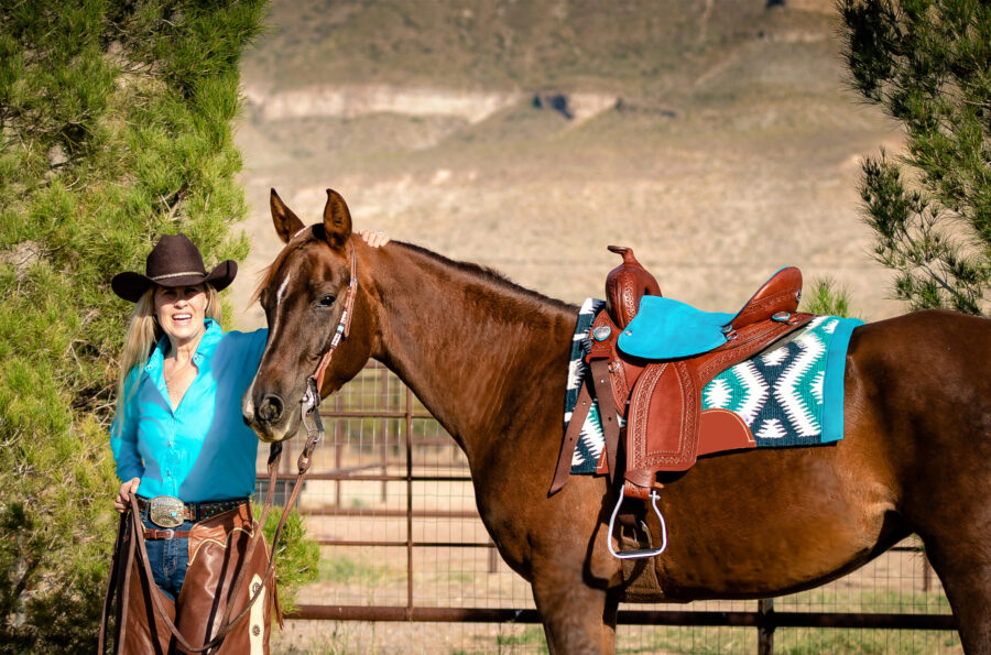 TW Saddlery Trail Light saddle fitted on a chestnut horse