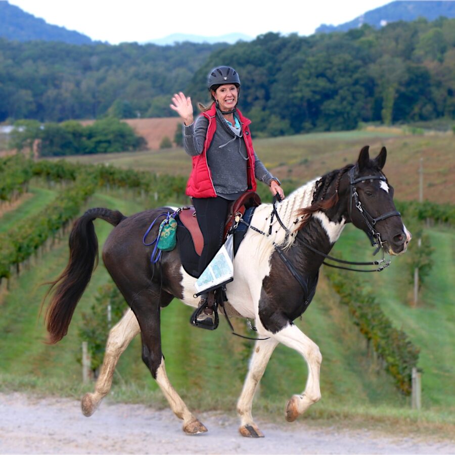 Sherry Garnes riding Beau in a Specialized Saddles Eurolight during CTR and endurance competition