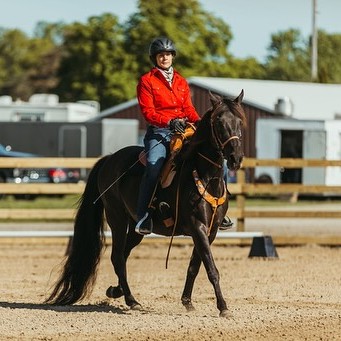 Tennessee Walking Horse moving freely in a TW Saddlery saddle during show competition