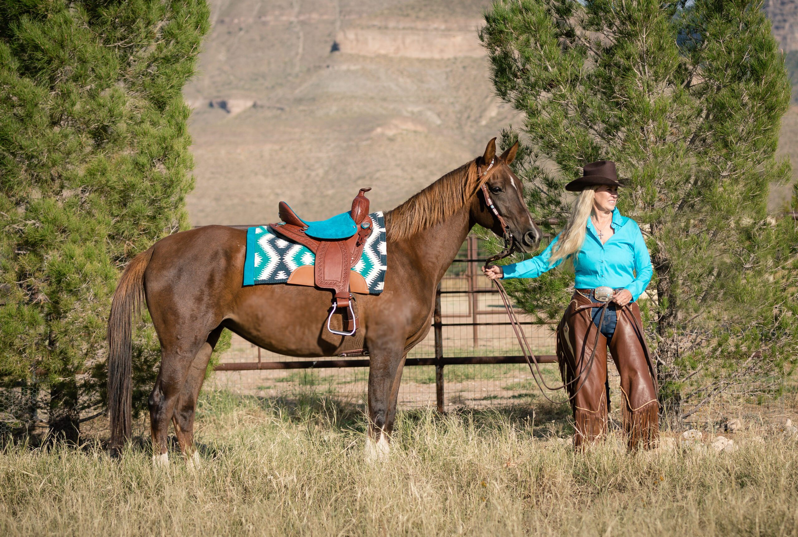 TW Saddlery Trail Light saddle on Arabian mare Good Carma with Tracy Webb