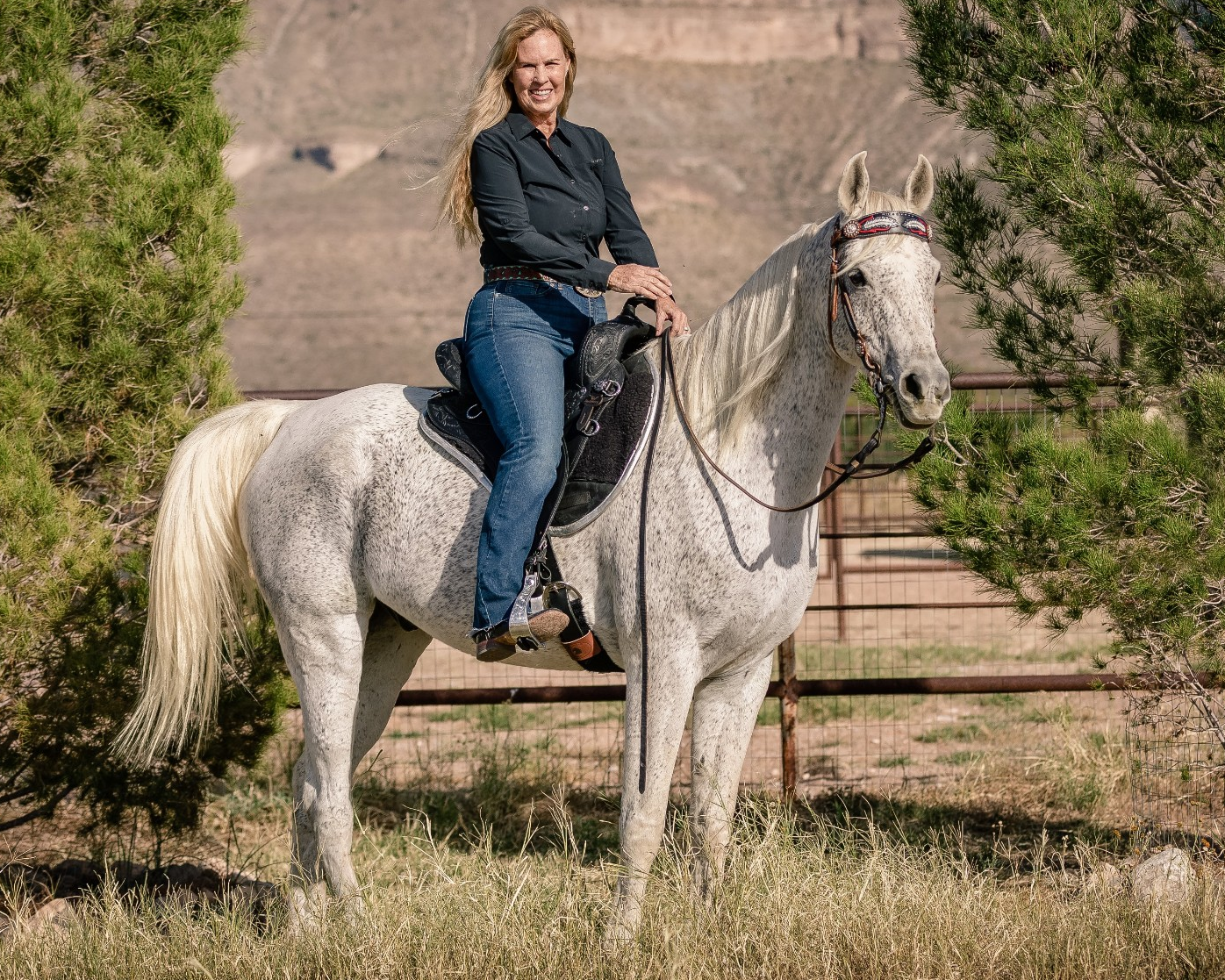 Arabian horse wearing a TW Saddlery trail saddle