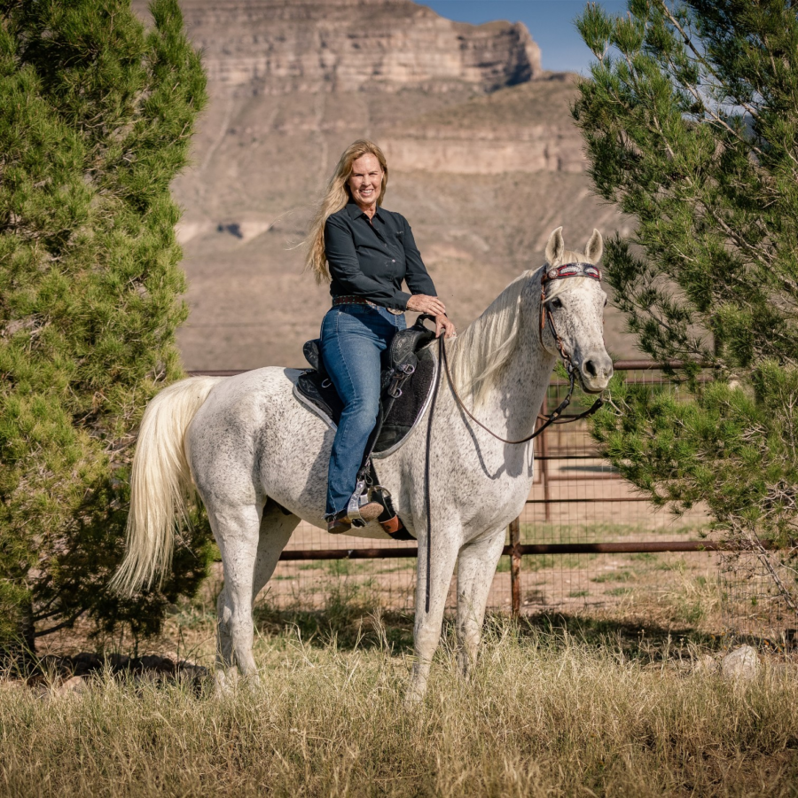 Arabian horse wearing a TW Saddlery trail saddle