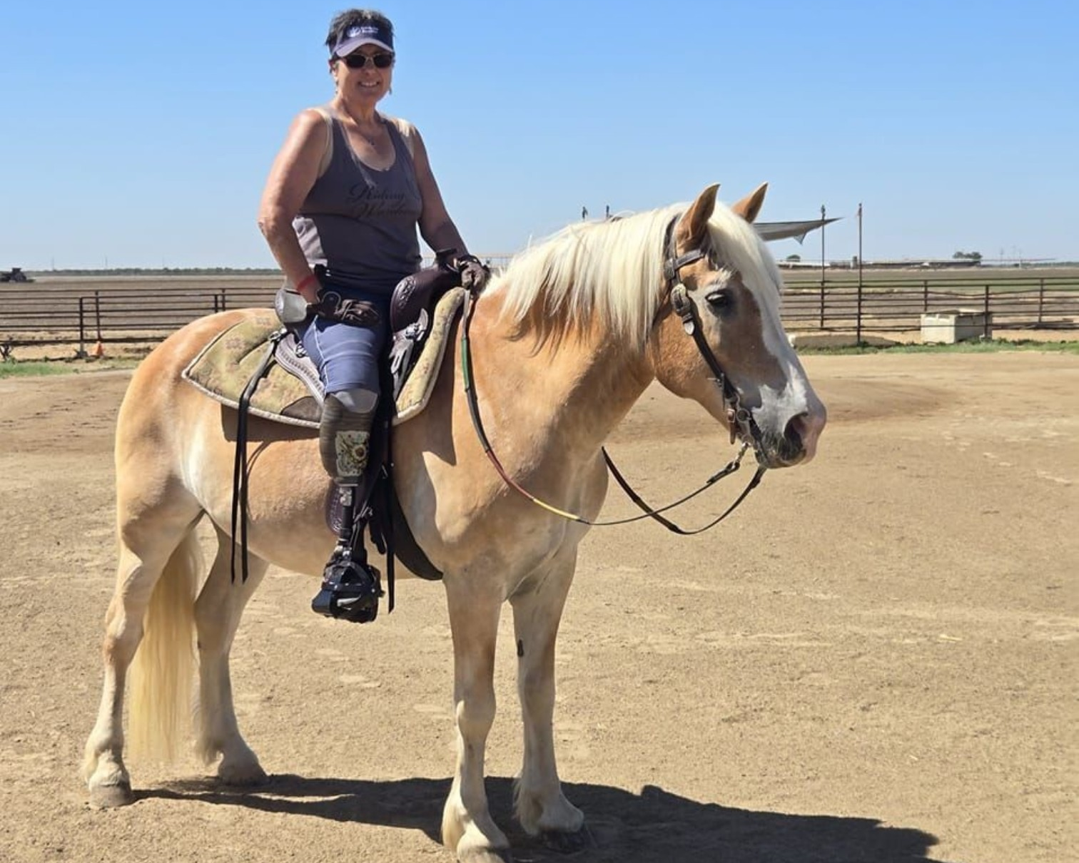 Draft Cross horse ridden in a TW Saddlery saddle