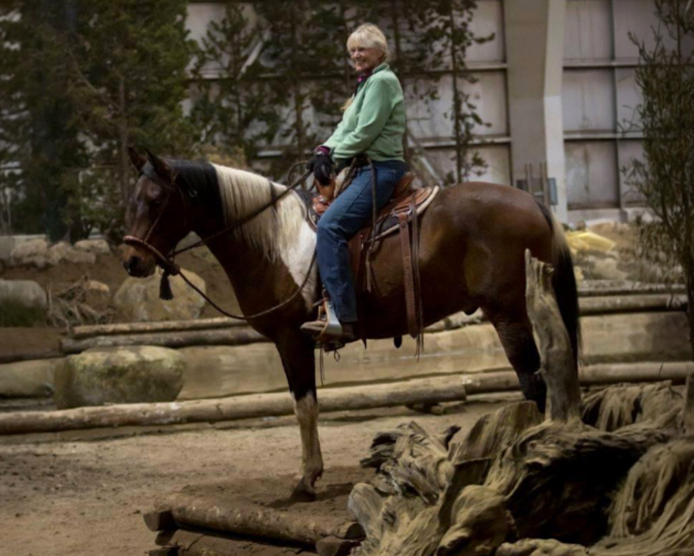Draft Cross horse ridden in a TW Saddlery Trail Light saddle
