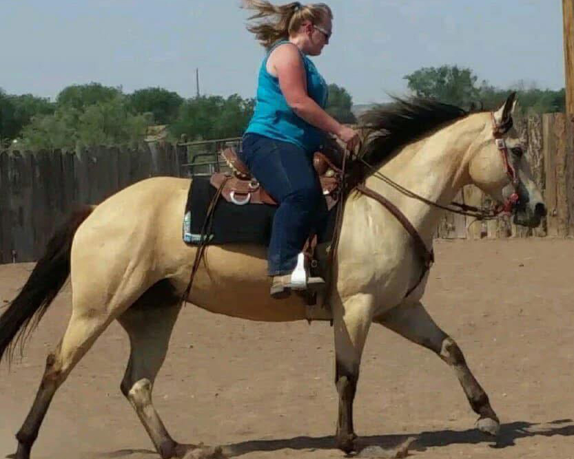 Quarter Horse ridden in a TW Saddlery Trail Light saddle