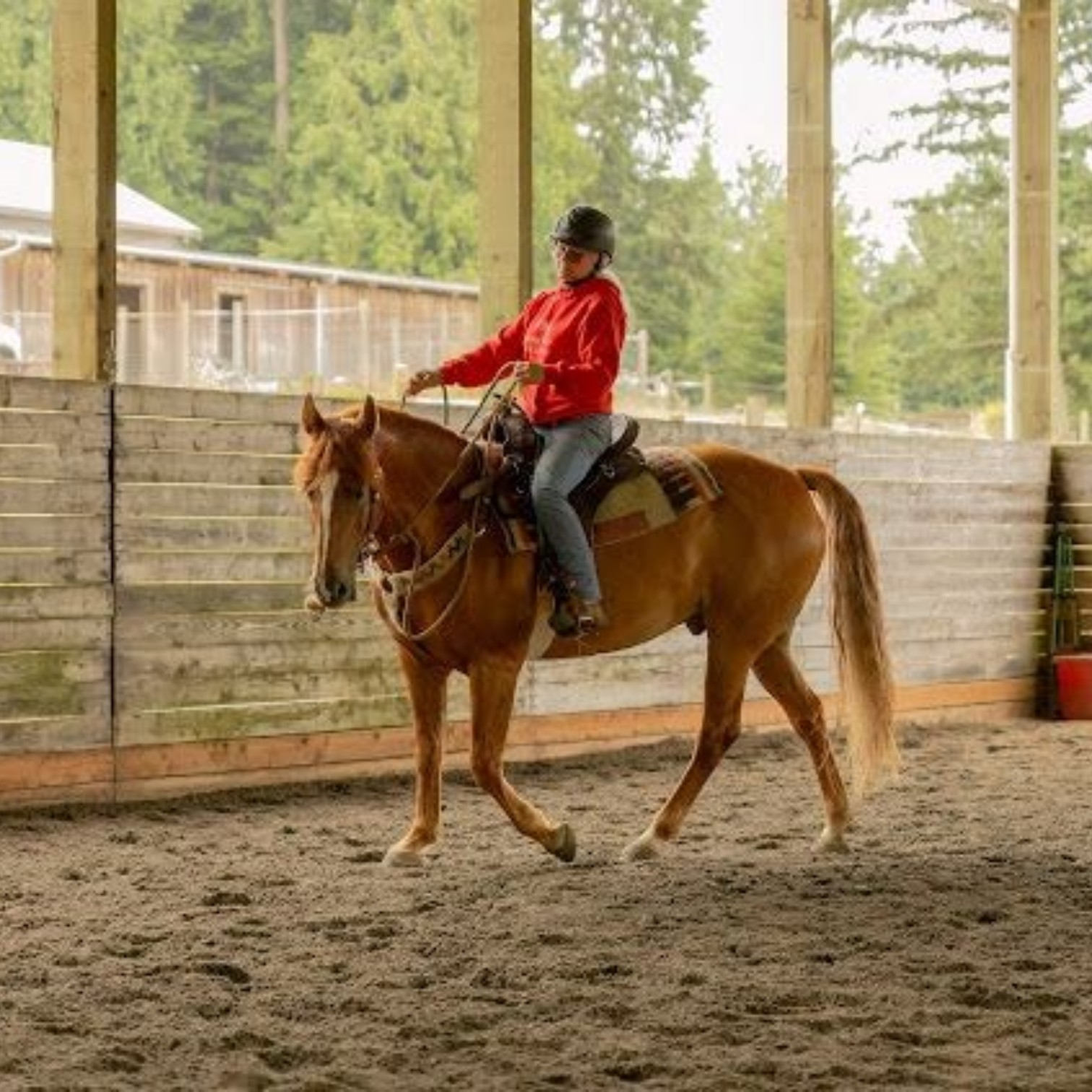 Paula Lawerence in her Featherweight Trail saddle fit by rep Molly Rodgers.