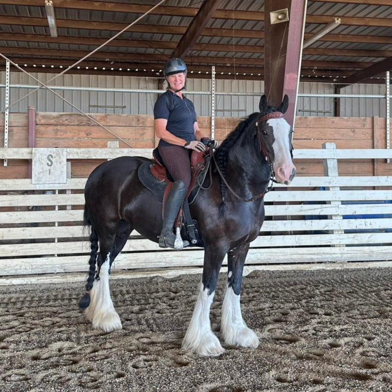 Stacy Sutton in her TW Texas Wade on her Drum horse Glimmer. Saddle fit by rep Molly Rodgers.