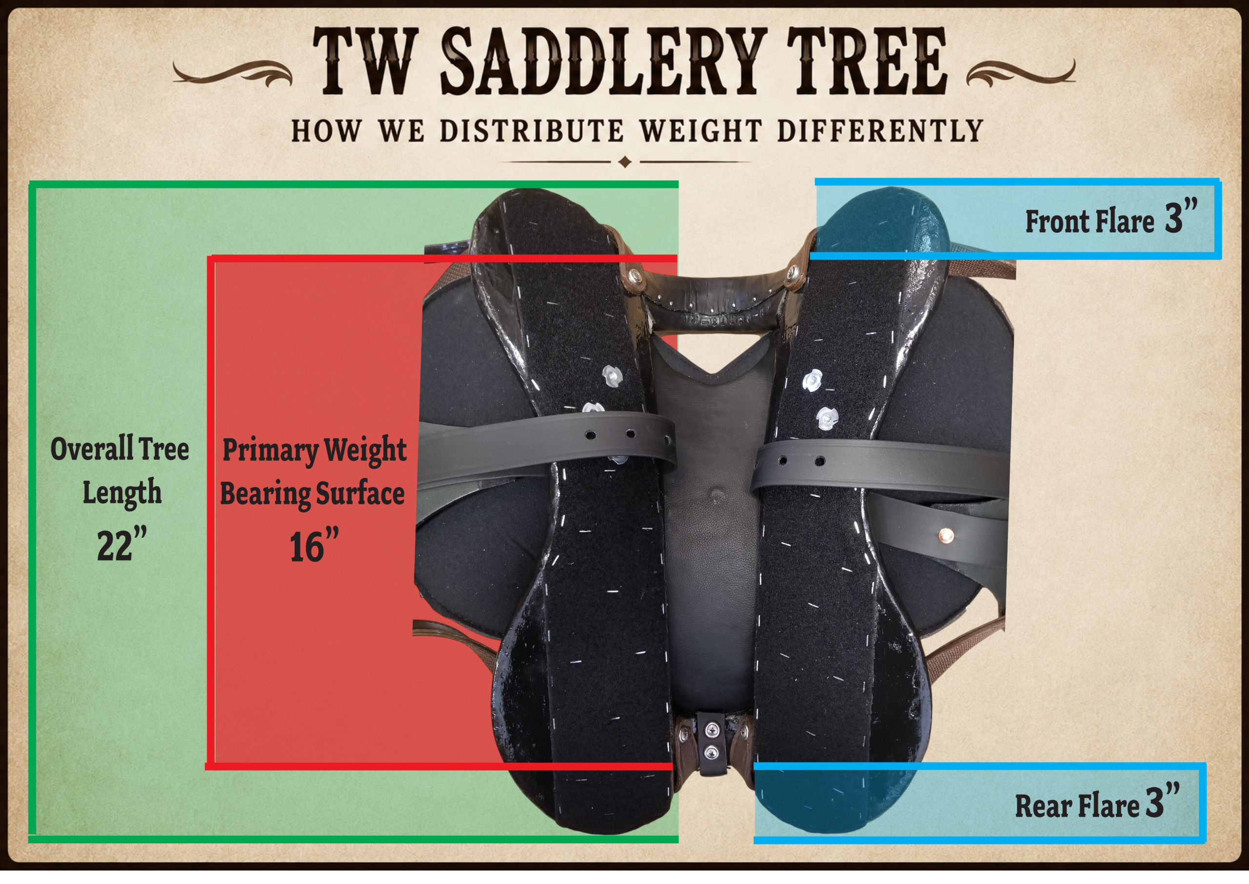 Diagram of a TW Saddlery saddle tree illustrating the 22-inch overall tree length, 16-inch primary weight-bearing surface, and 3-inch front and rear flare that distribute rider weight more evenly.