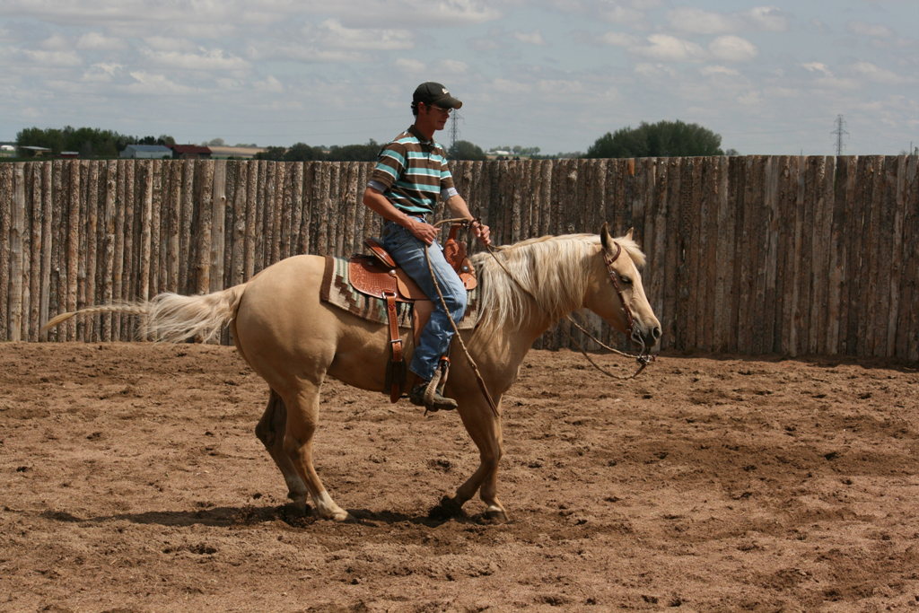 Reining horse and rider competing in a TW Saddlery western performance saddle