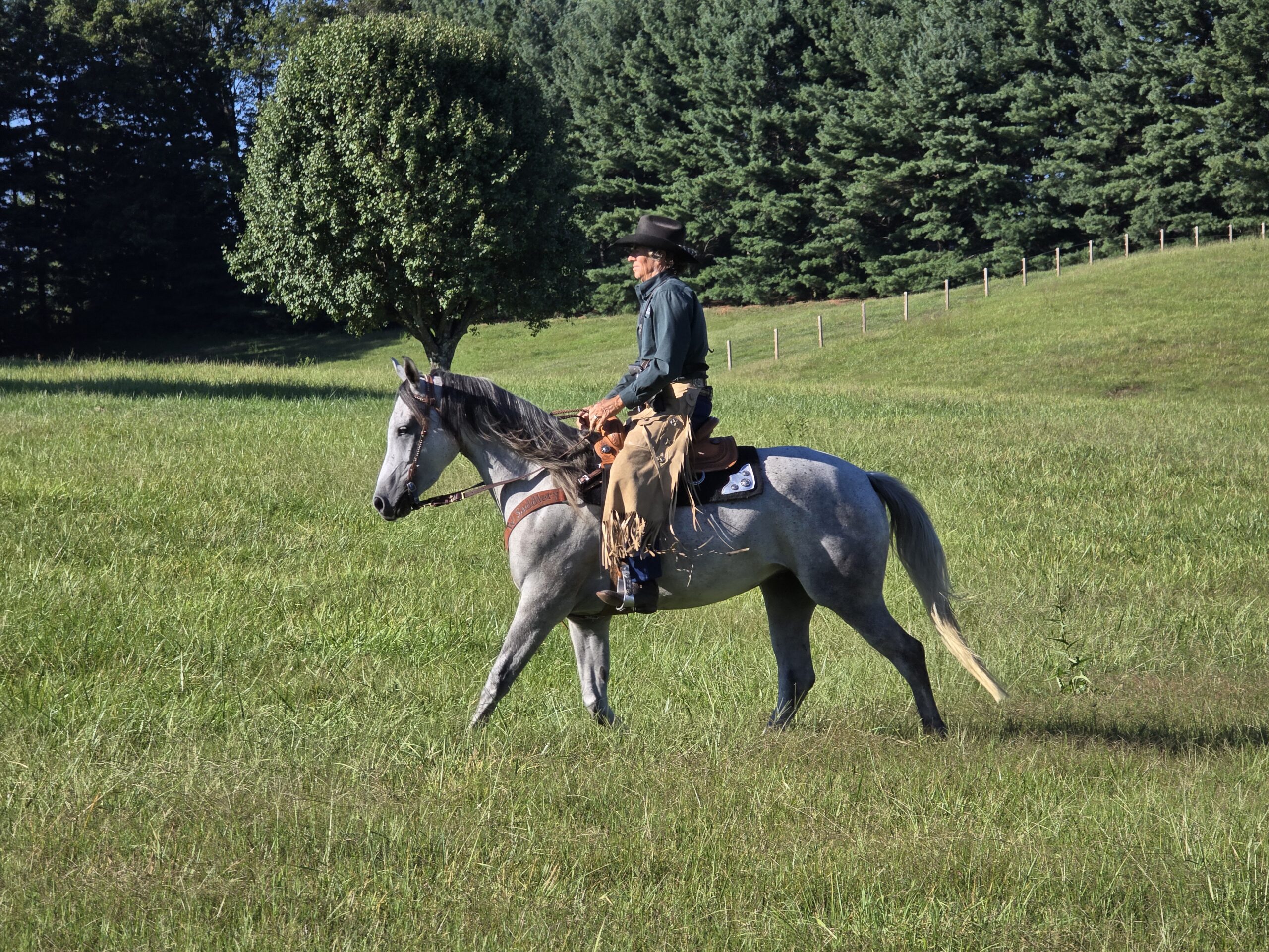 Ranch versatility horse and rider competing in a TW Saddlery Ranch Versatility saddle