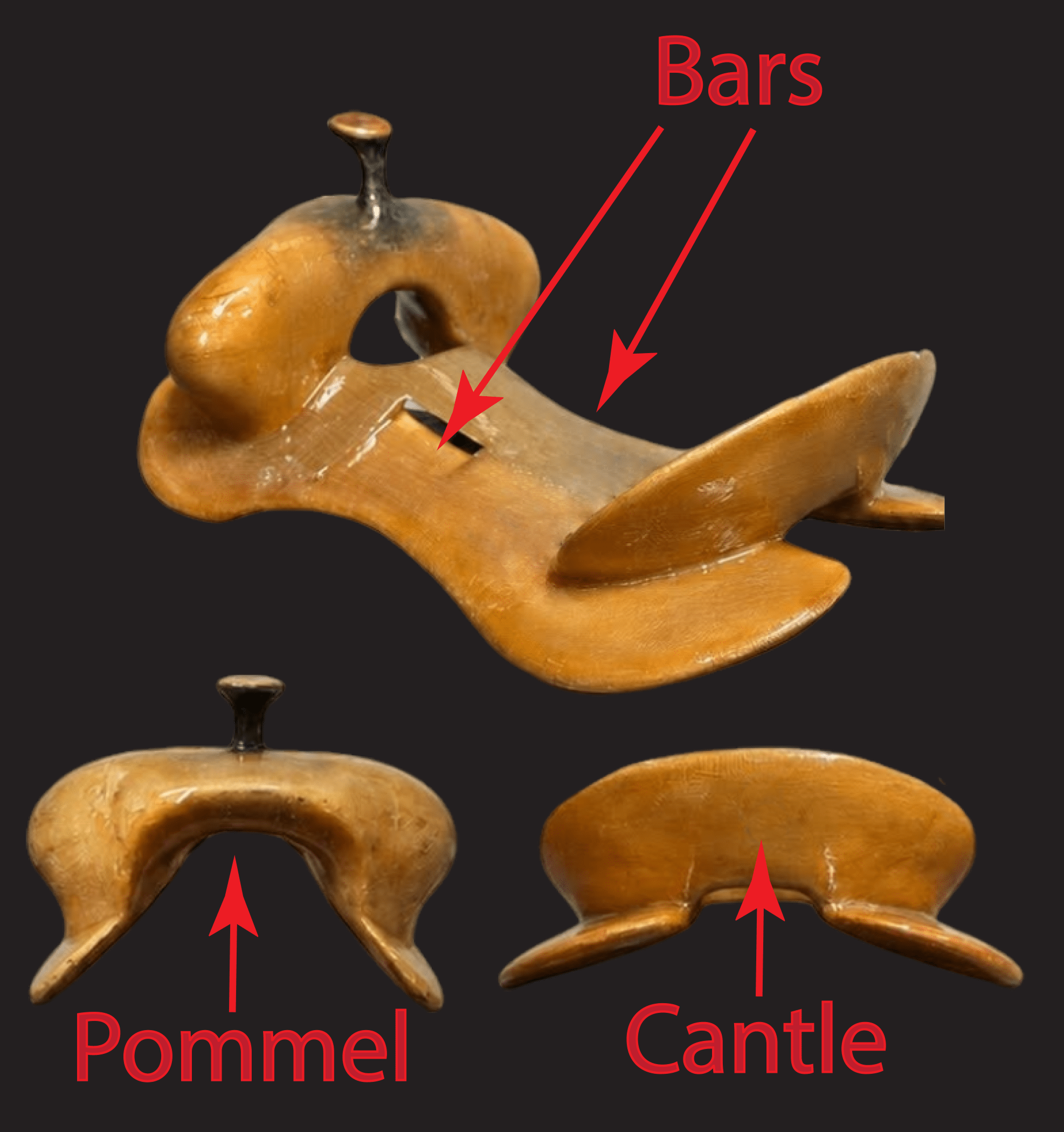 Labeled fiberglass-covered saddle tree