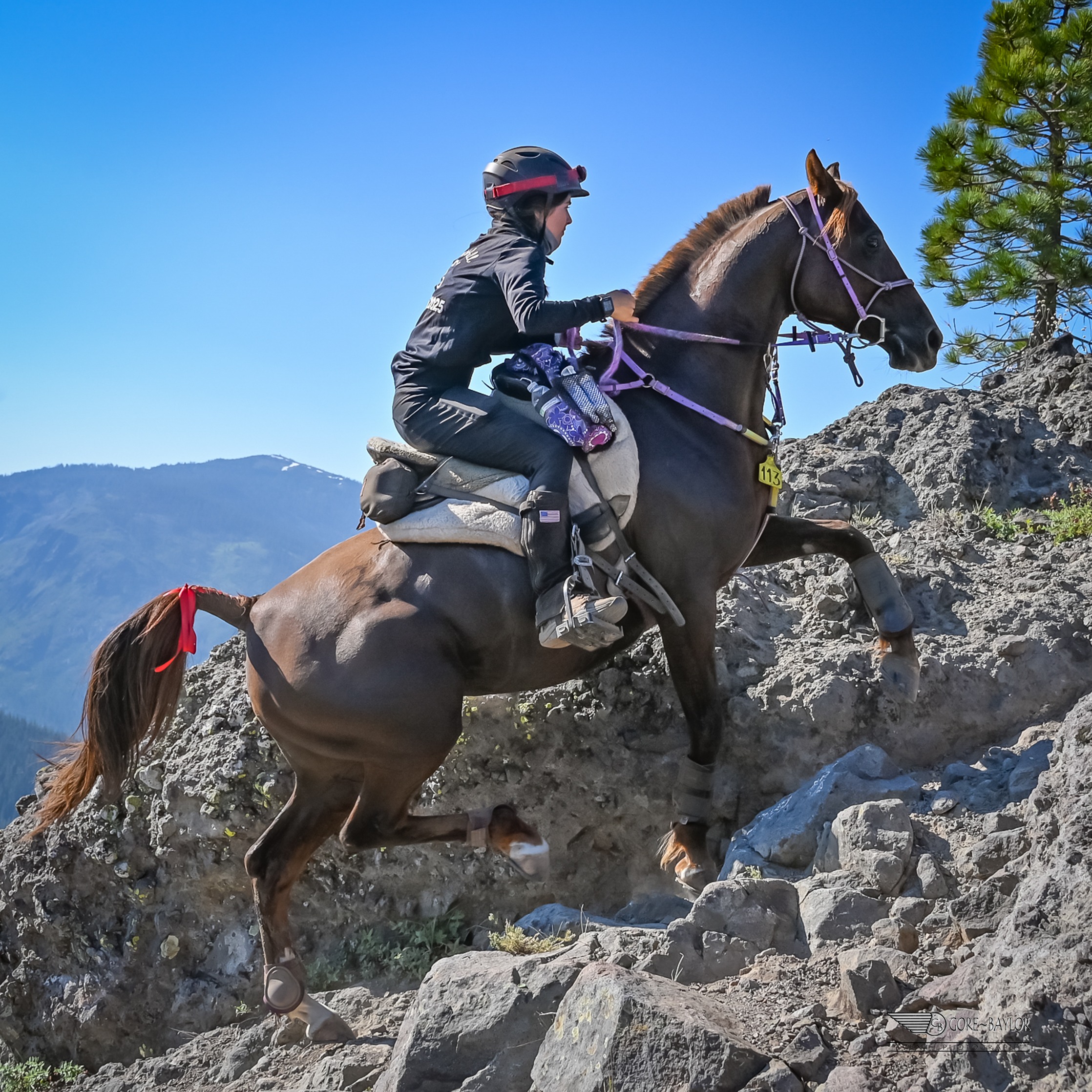 Annie Whelan riding a horse over rocky terrain in a Specialized Aussie Ultralight saddle at the 2025 Tevis Cup