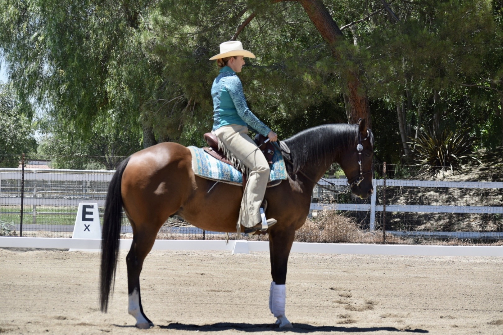 Western Dressage on Bay Horse